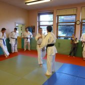 Remise ceinture noire Mathieu 12-05-2011