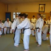 Remise ceinture noire Mathieu 12-05-2011