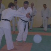 Ju-Jitsu_2007