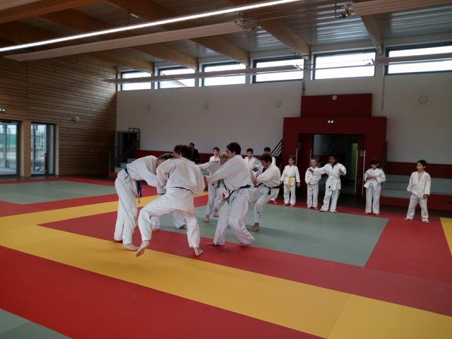 Stage judo vacances octobre 2017