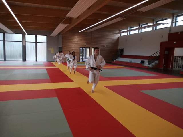 Stage judo vacances octobre 2017