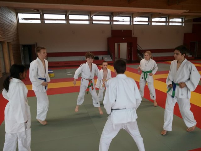 Stage judo vacances octobre 2017