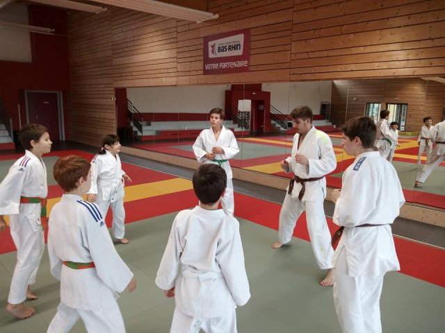 Stage judo vacances octobre 2017