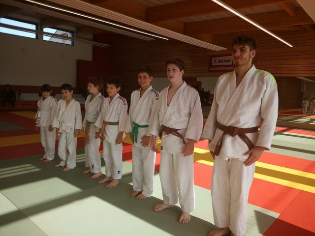 Stage judo vacances octobre 2017