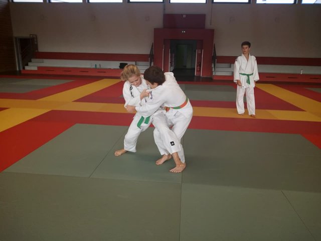 Stage judo vacances octobre 2017