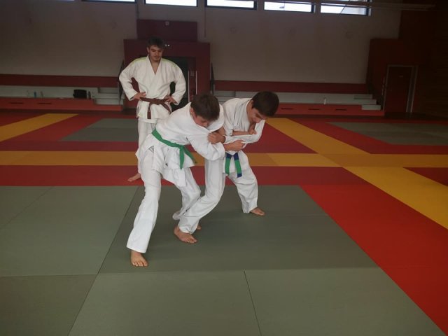 Stage judo vacances octobre 2017