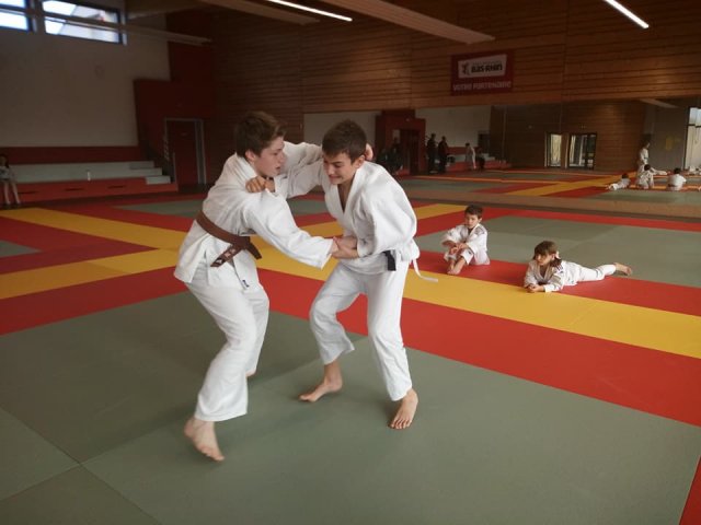 Stage judo vacances octobre 2017