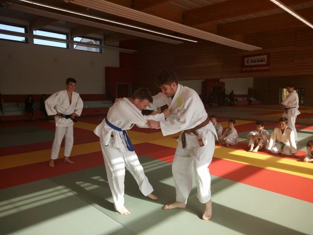 Stage judo vacances octobre 2017