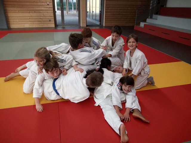 Stage judo vacances octobre 2017