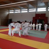 Stage judo vacances octobre 2017