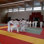 Stage judo vacances octobre 2017