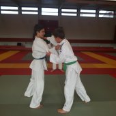 Stage judo vacances octobre 2017