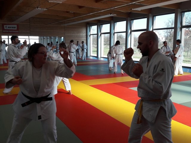 Stage de Ju-jitsu à Rosheim 24-03-2018