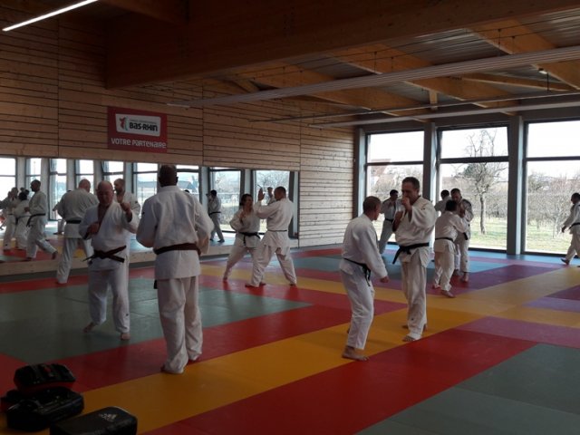 Stage de Ju-jitsu à Rosheim 24-03-2018