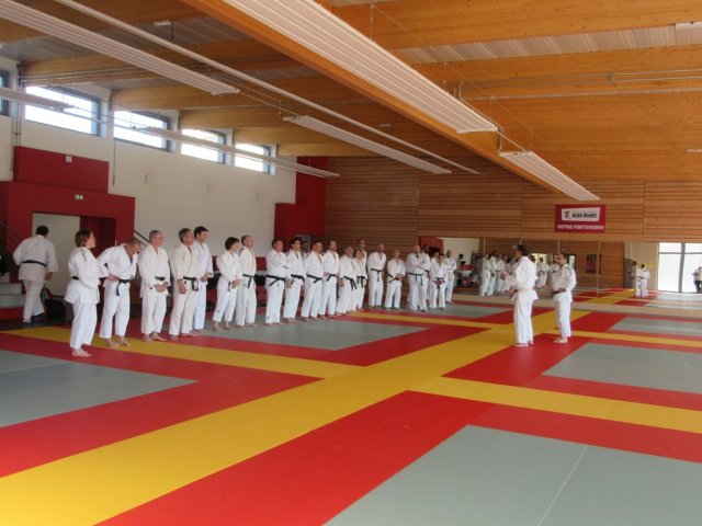 Stage de Ju-jitsu à Rosheim 24-03-2018