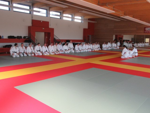 Stage de Ju-jitsu à Rosheim 24-03-2018