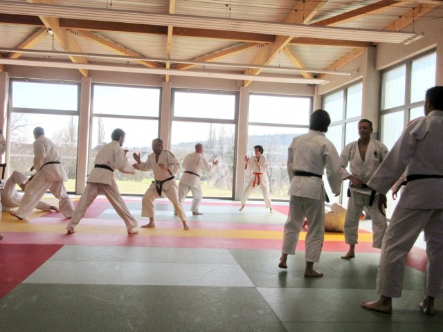 Stage de Ju-jitsu à Rosheim 24-03-2018