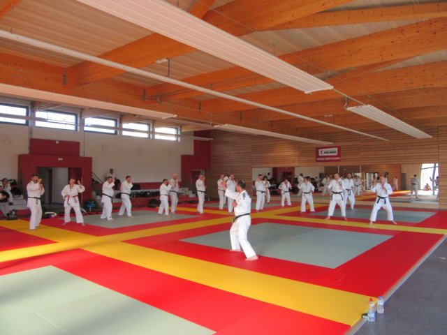 Stage de Ju-jitsu à Rosheim 24-03-2018