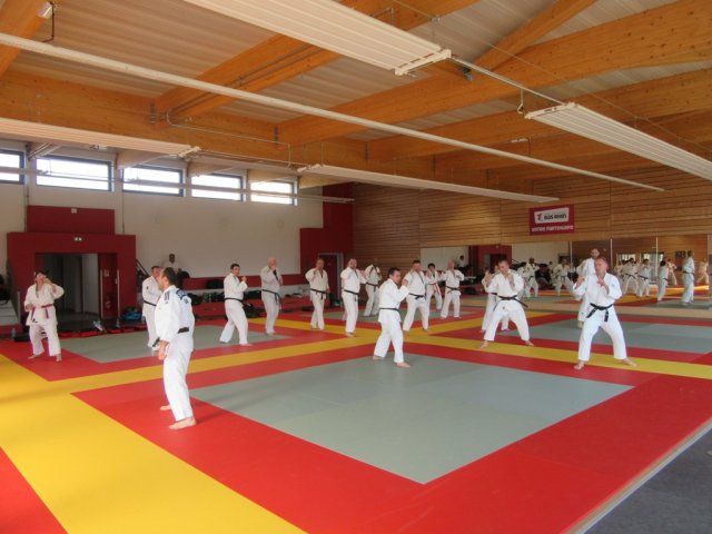 Stage de Ju-jitsu à Rosheim 24-03-2018