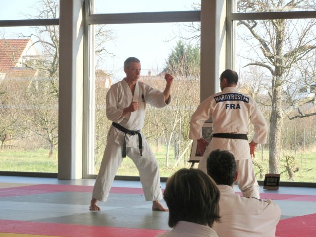 Stage de Ju-jitsu à Rosheim 24-03-2018