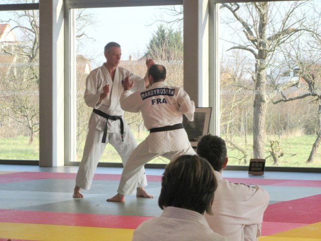 Stage de Ju-jitsu à Rosheim 24-03-2018