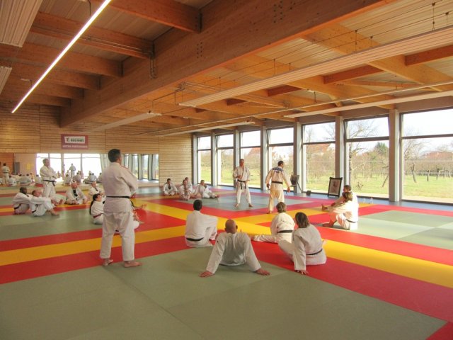 Stage de Ju-jitsu à Rosheim 24-03-2018