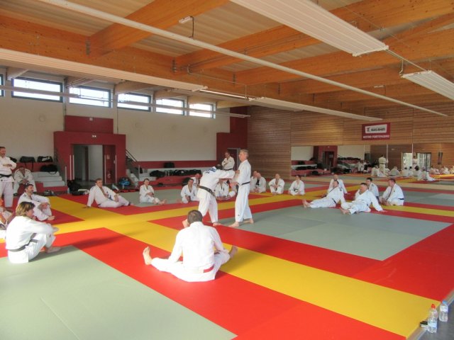 Stage de Ju-jitsu à Rosheim 24-03-2018