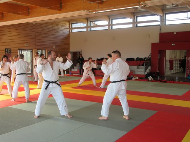 Stage de Ju-jitsu à Rosheim 24-03-2018