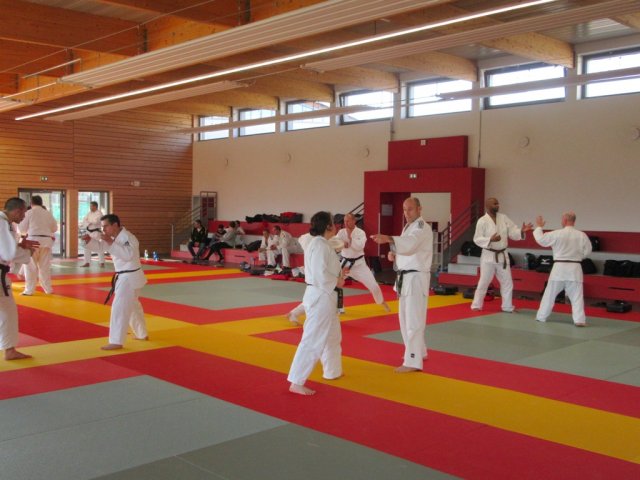 Stage de Ju-jitsu à Rosheim 24-03-2018