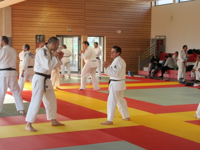 Stage de Ju-jitsu à Rosheim 24-03-2018
