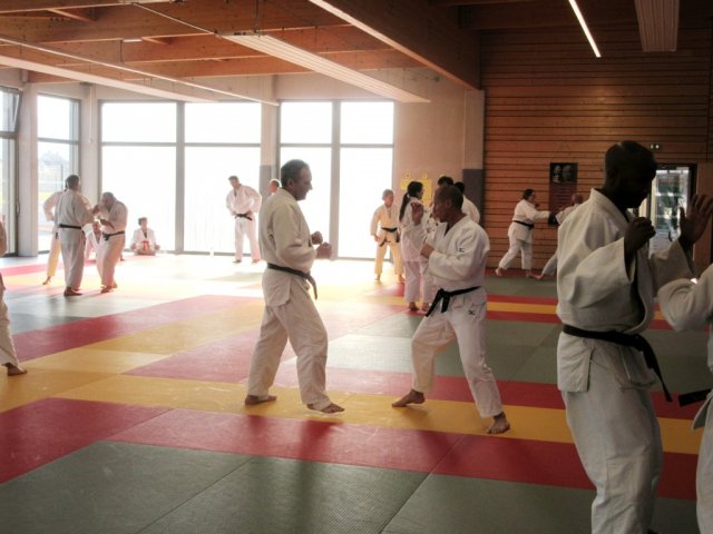 Stage de Ju-jitsu à Rosheim 24-03-2018