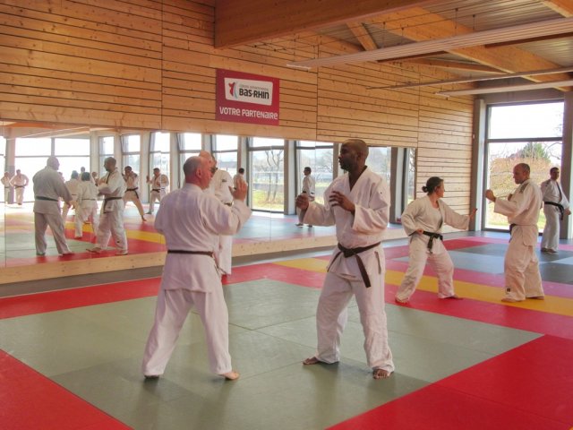 Stage de Ju-jitsu à Rosheim 24-03-2018