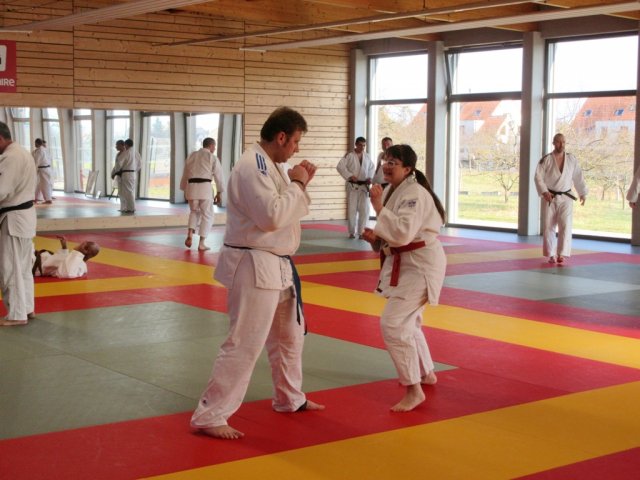 Stage de Ju-jitsu à Rosheim 24-03-2018