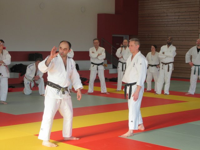 Stage de Ju-jitsu à Rosheim 24-03-2018