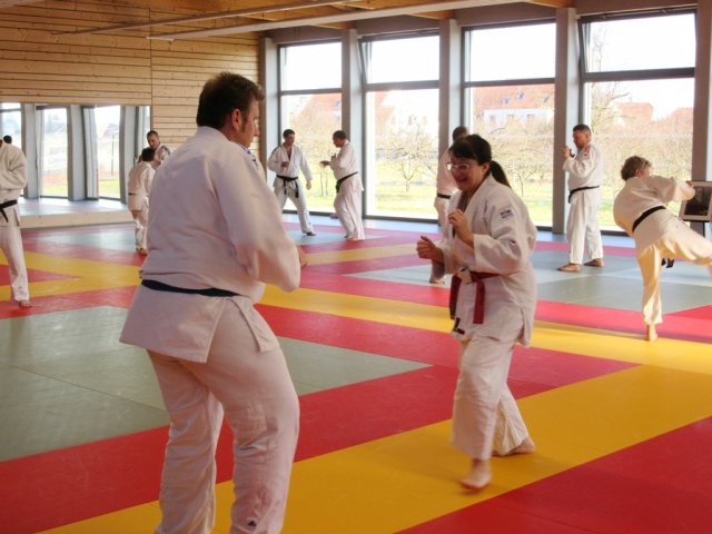 Stage de Ju-jitsu à Rosheim 24-03-2018