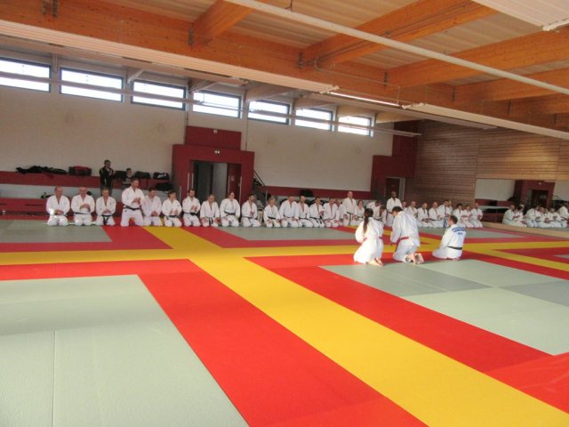 Stage de Ju-jitsu à Rosheim 24-03-2018