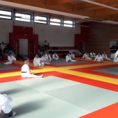 Stage de Ju-jitsu à Rosheim 24-03-2018