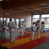 Stage de Ju-jitsu à Rosheim 24-03-2018