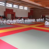 Stage de Ju-jitsu à Rosheim 24-03-2018