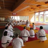 Stage de Ju-jitsu à Rosheim 24-03-2018