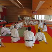 Stage de Ju-jitsu à Rosheim 24-03-2018