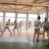 Stage de Ju-jitsu à Rosheim 24-03-2018