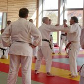 Stage de Ju-jitsu à Rosheim 24-03-2018