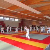 Stage de Ju-jitsu à Rosheim 24-03-2018