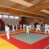 Stage de Ju-jitsu à Rosheim 24-03-2018