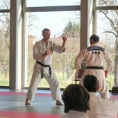 Stage de Ju-jitsu à Rosheim 24-03-2018