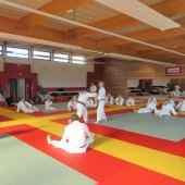 Stage de Ju-jitsu à Rosheim 24-03-2018