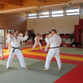 Stage de Ju-jitsu à Rosheim 24-03-2018