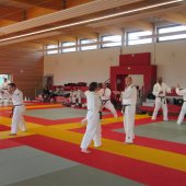 Stage de Ju-jitsu à Rosheim 24-03-2018