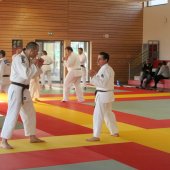 Stage de Ju-jitsu à Rosheim 24-03-2018